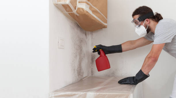 Professional Crawl Space Mold Remediation technician working in Shiloh, NC