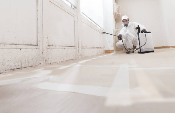 24/7 Emergency Crawl Space Mold Remediation experts in Shiloh, NC